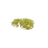 Moss