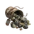 Olives