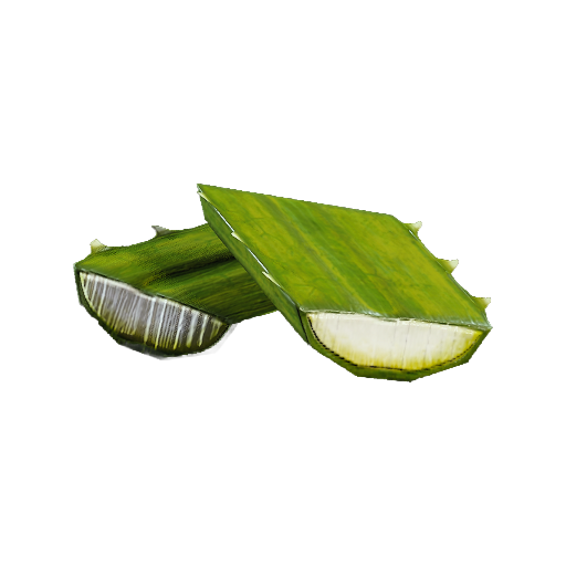 Agave