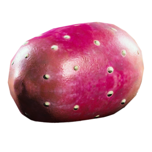 Prickly Pear