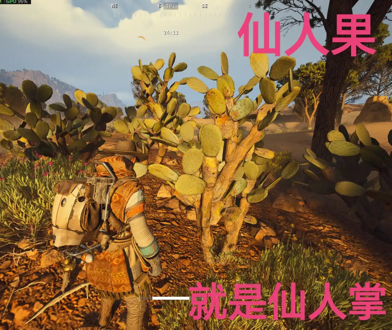 仙人掌果刷新点