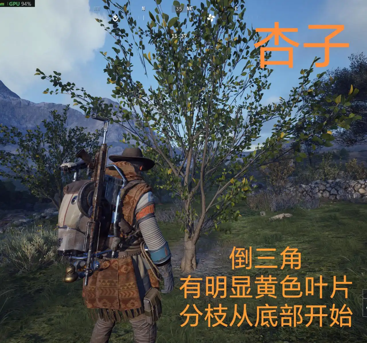 杏子刷新点