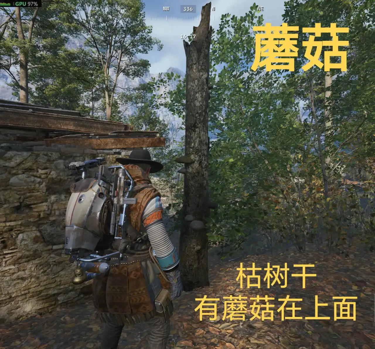 蘑菇刷新点